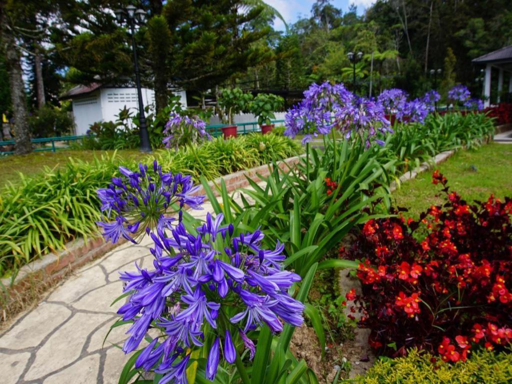 Camlodge Budget Hotel Cameron Highlands Extérieur photo