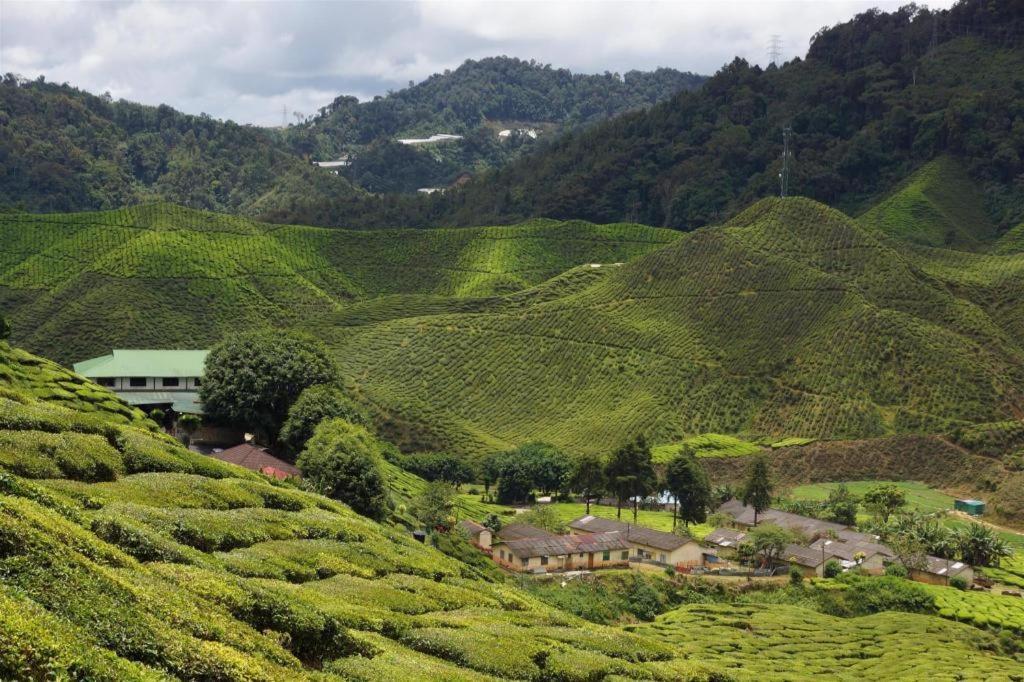Camlodge Budget Hotel Cameron Highlands Extérieur photo