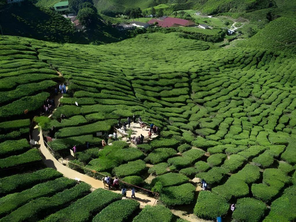 Camlodge Budget Hotel Cameron Highlands Extérieur photo